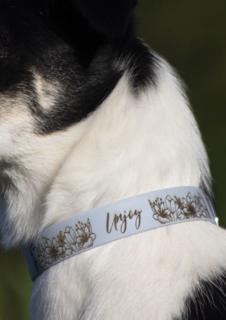 Collier biothane fleurs